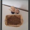 KADIN ALTIN RENGİ METALİK KAĞIT İPTEN GİZLİ BURSLU HAND MADE EL ÖRGÜSÜ YAZLIK CLUTCH PORFÖY EL ÇANTASI